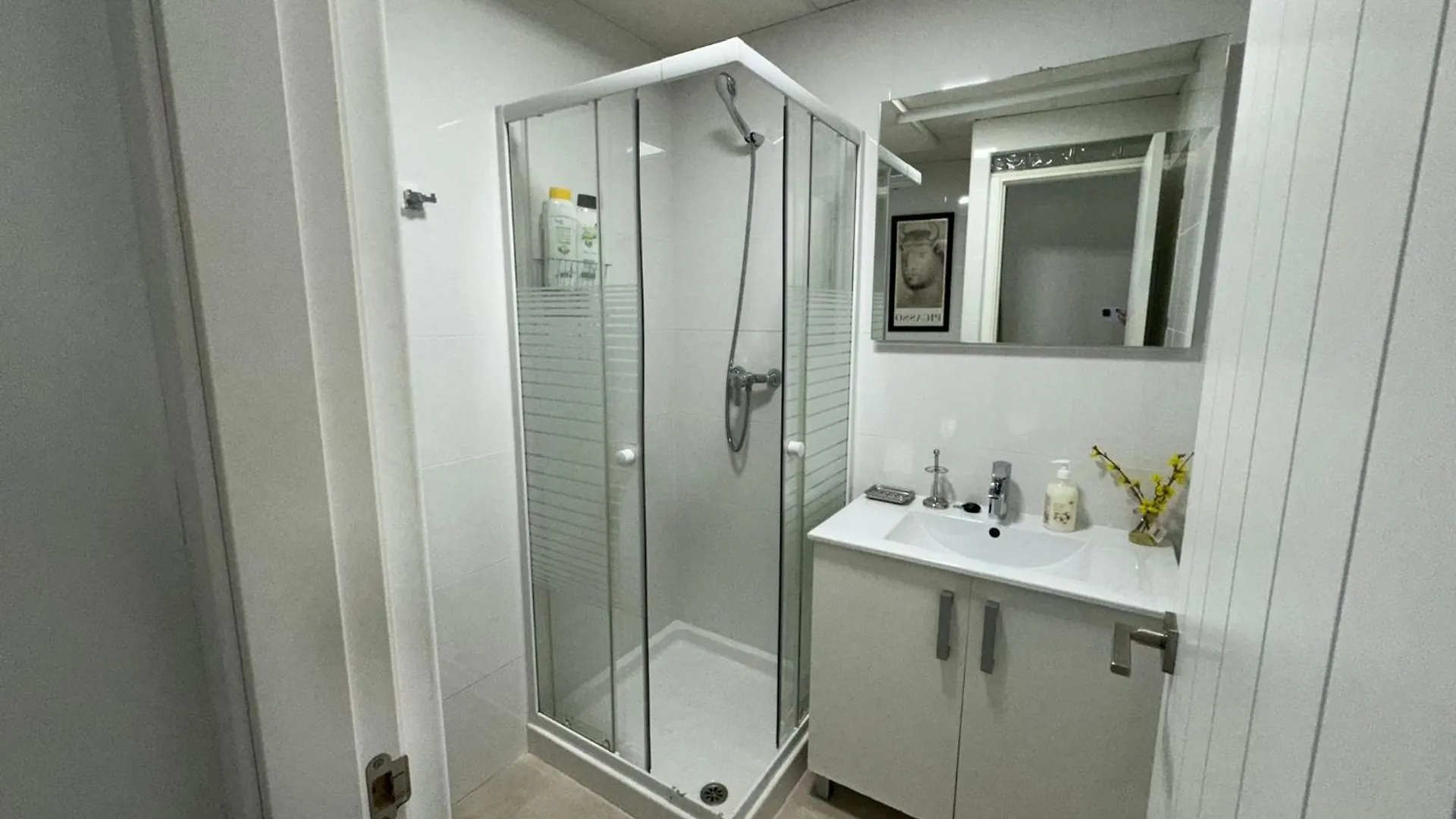 Appartement A 20 Pasos Del Museo Picasso à Málaga 0*,